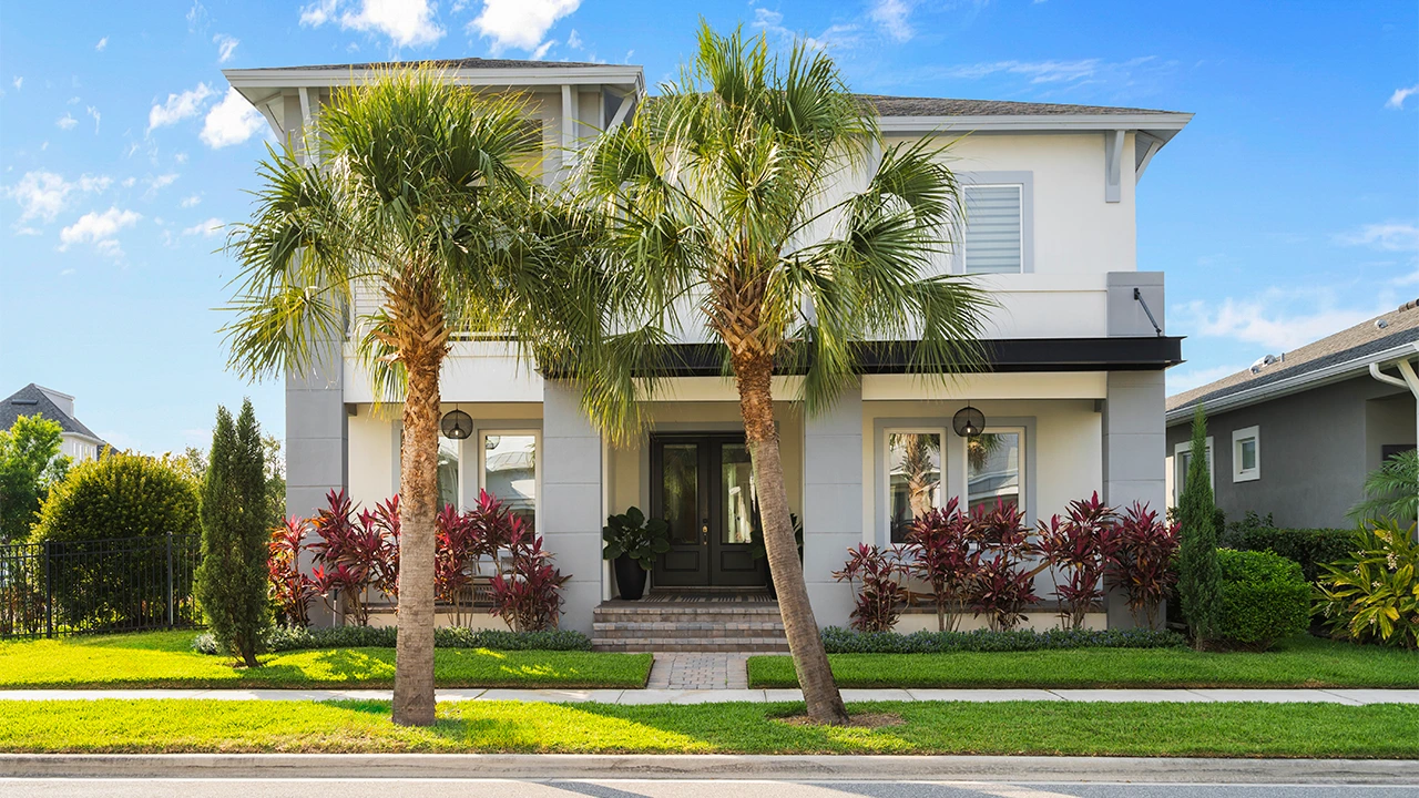 Modern kitchen renovation