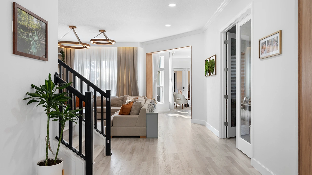 Basement finishing project